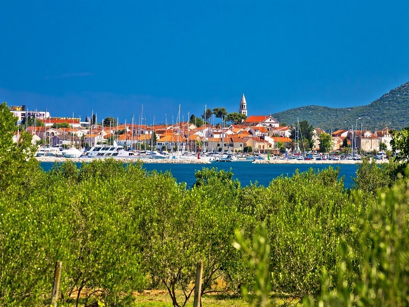 Biograd